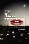 What Do Pictures Want? cover