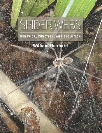 Spider Webs cover