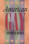 American Gay cover