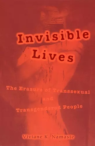 Invisible Lives cover