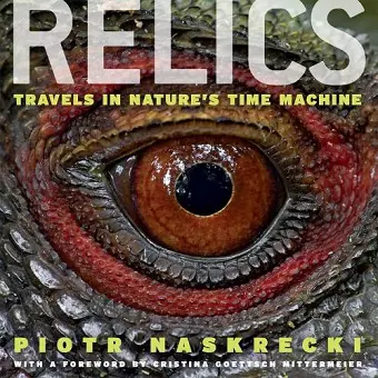 Relics cover