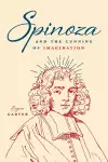 Spinoza and the Cunning of Imagination cover