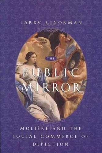 The Public Mirror cover