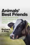 Animals' Best Friends packaging