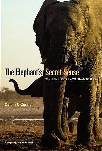 The Elephant`s Secret Sense – The Hidden Life of the Wild Herds of Africa cover