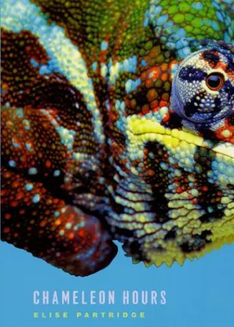 Chameleon Hours cover
