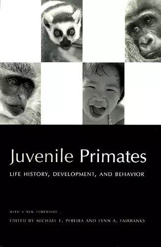 Juvenile Primates cover