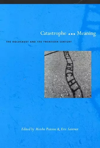 Catastrophe and Meaning cover