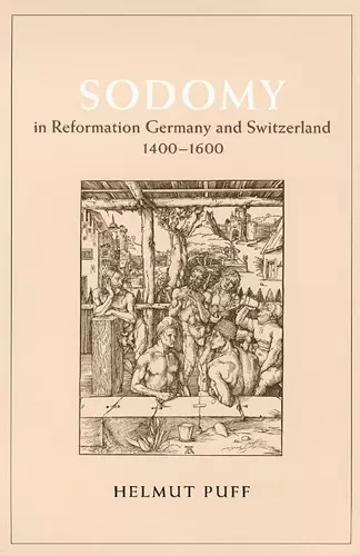 Sodomy in Reformation Germany and Switzerland, 1400-1600 cover