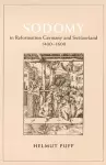 Sodomy in Reformation Germany and Switzerland, 1400-1600 cover