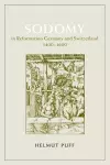 Sodomy in Reformation Germany and Switzerland, 1400-1600 cover