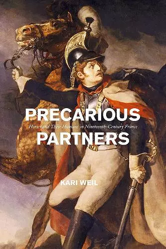 Precarious Partners cover