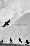 Ecological Poetics; Or, Wallace Stevens's Birds cover