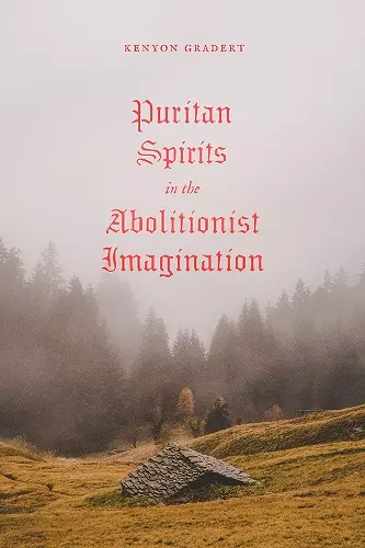 Puritan Spirits in the Abolitionist Imagination cover