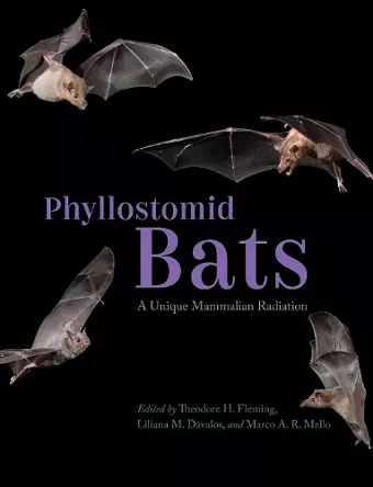 Phyllostomid Bats cover