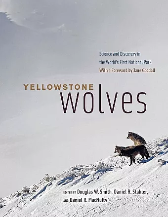 Yellowstone Wolves cover