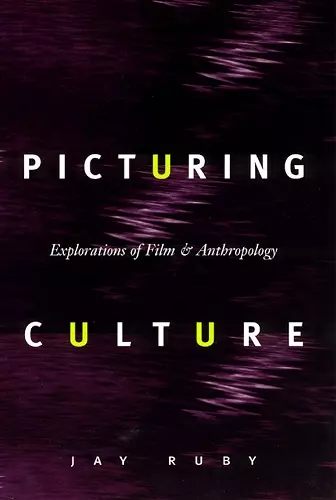 Picturing Culture cover