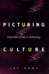 Picturing Culture cover