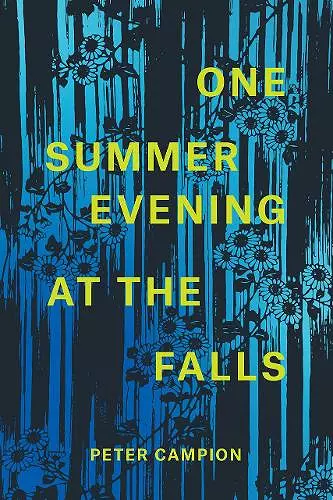 One Summer Evening at the Falls cover