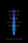 Into the Cool cover