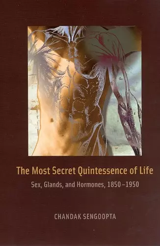 The Most Secret Quintessence of Life cover