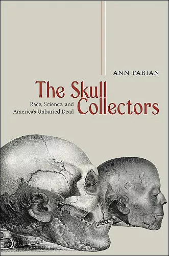 The Skull Collectors cover