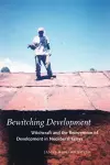 Bewitching Development cover