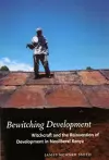 Bewitching Development cover