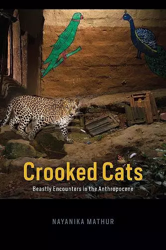 Crooked Cats cover