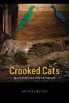 Crooked Cats cover