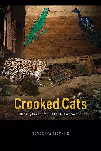 Crooked Cats cover