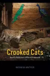 Crooked Cats cover