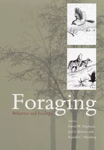 Foraging cover