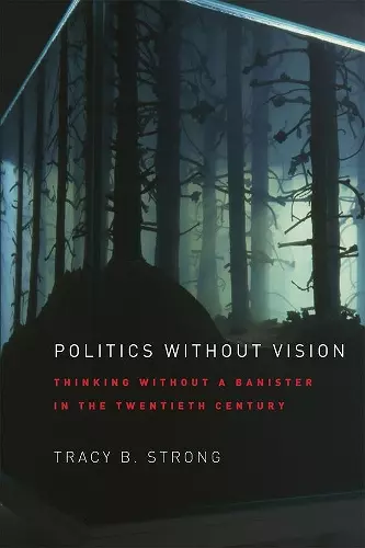 Politics without Vision cover