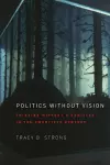 Politics without Vision cover