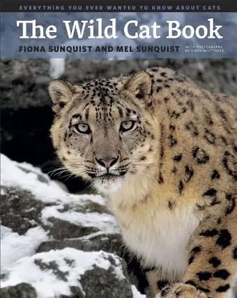 The Wild Cat Book cover