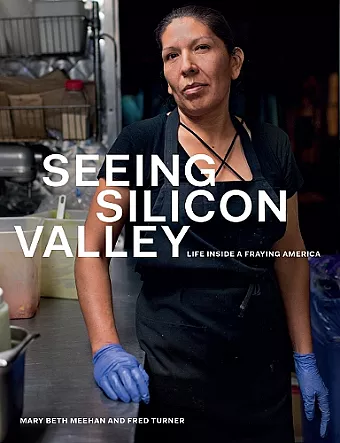 Seeing Silicon Valley cover
