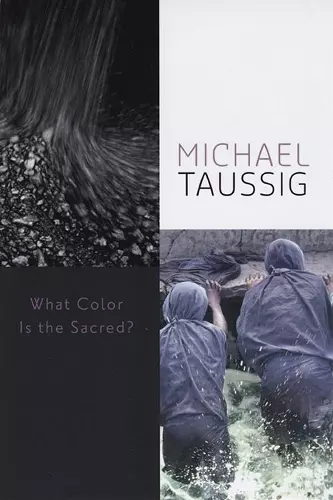 What Color Is the Sacred? cover