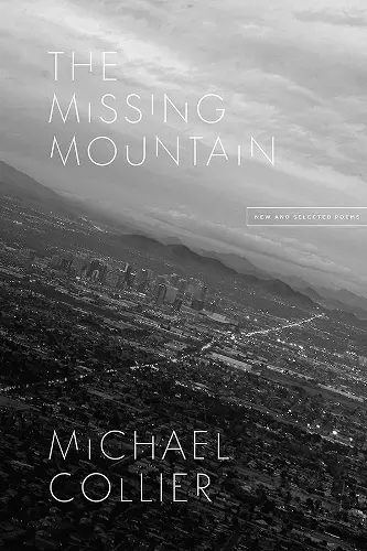 The Missing Mountain cover