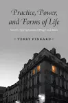 Practice, Power, and Forms of Life cover