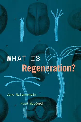 What Is Regeneration? cover