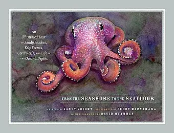 From the Seashore to the Seafloor cover