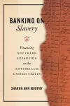 Banking on Slavery cover