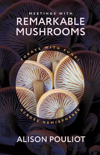 Meetings with Remarkable Mushrooms cover