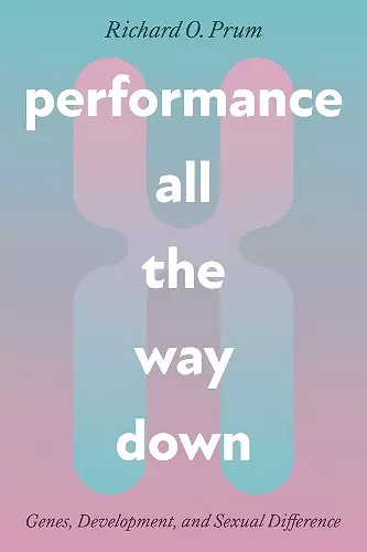 Performance All the Way Down cover