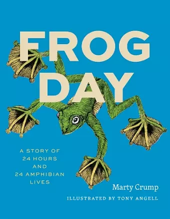 Frog Day cover