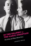 In the Shadow of the Magic Mountain cover