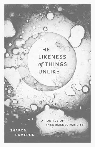 The Likeness of Things Unlike cover