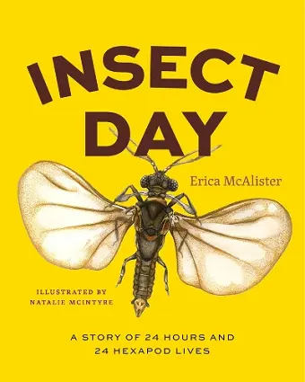 Insect Day cover