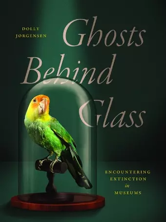 Ghosts Behind Glass cover